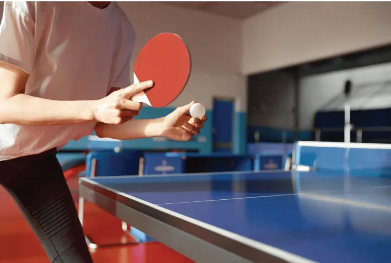 Table Tennis Court